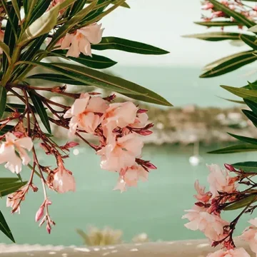Villa Hemingway Saint Barthelemy