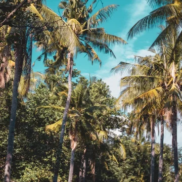 Villa Hemingway Saint Barthelemy